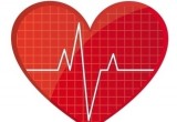 מחלות כלי דם ולב